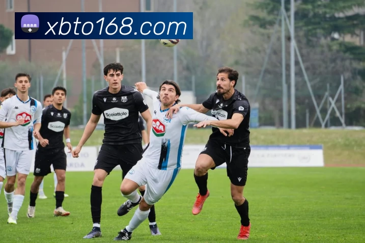 XBTO官网APP 体育赛事宣传图